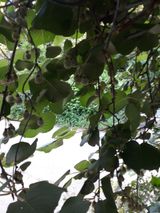 팜모닝 자유주제·자유게시판 게시글 이미지