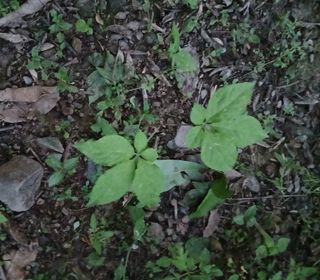 인생은 소풍처럼님의 자유주제 · 자유게시판 작성글 사진