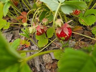 김용석님의 자유주제 · 자유게시판 작성글 사진