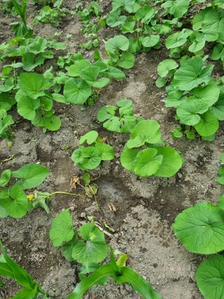 김용대님의 자유주제 · 자유게시판 작성글 사진