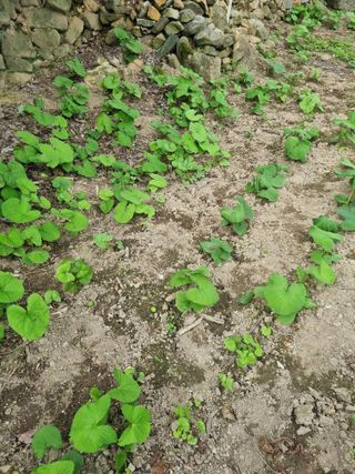 김용대님의 자유주제 · 자유게시판 작성글 사진