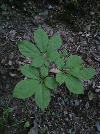 인생은 소풍처럼님의 자유주제 · 자유게시판 작성글 사진