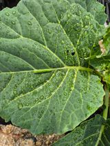 팜모닝 자유주제·자유게시판 게시글 이미지