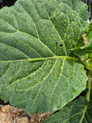 동산계곡님의 자유주제 · 자유게시판 작성글 사진