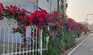 MSG0074님의 자유주제 · 자유게시판 작성글 사진