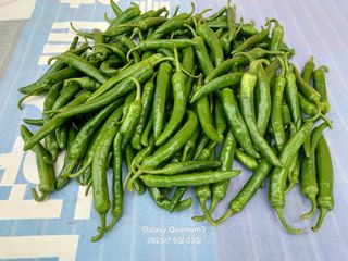 전진규.해돋이님의 자유주제 · 자유게시판 작성글 사진