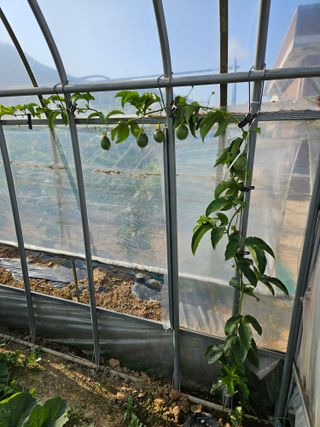 백호순(후추)님의 자유주제 · 자유게시판 작성글 사진