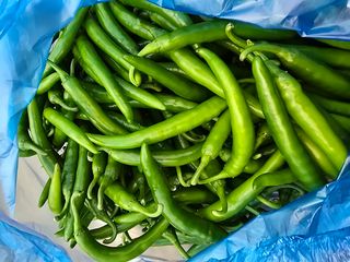 나주 박정화님의 자유주제 · 자유게시판 작성글 사진