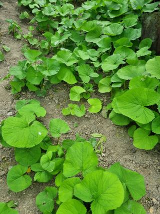 김용대님의 자유주제 · 자유게시판 작성글 사진