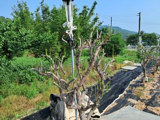 안동준 님의 자유주제 · 자유게시판 작성글 사진