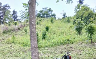 인생은 소풍처럼님의 자유주제 · 자유게시판 작성글 사진