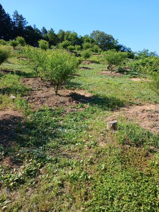 금여사님의 자유주제 · 자유게시판 작성글 사진