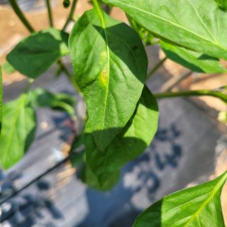 이창화님의 자유주제 · 자유게시판 작성글 사진