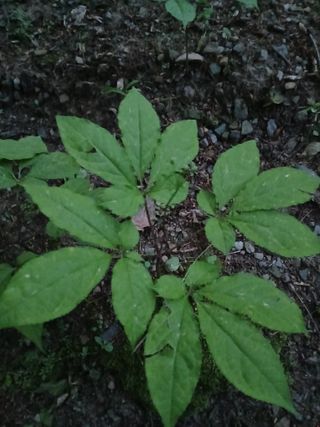 인생은 소풍처럼님의 자유주제 · 자유게시판 작성글 사진