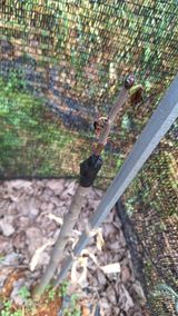 팜모닝 자유주제·자유게시판 게시글 이미지