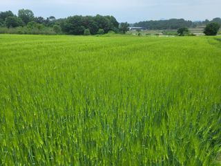 최상희님의 자유주제 · 자유게시판 작성글 사진