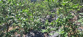 장준재님의 자유주제 · 자유게시판 작성글 사진