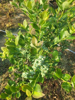 최상희님의 자유주제 · 자유게시판 작성글 사진