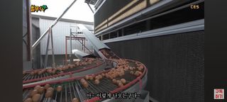 감15576님의 자유주제 · 자유게시판 작성글 사진