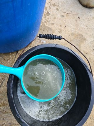 고추농사 정 미라님의 자유주제 · 자유게시판 작성글 사진