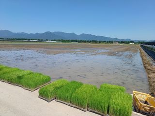 구혜원님의 자유주제 · 자유게시판 작성글 사진