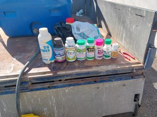 영수농원님의 자유주제 · 자유게시판 작성글 사진