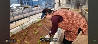 감15576님의 자유주제 · 자유게시판 작성글 사진