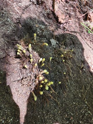 이현상님의 자유주제 · 자유게시판 작성글 사진