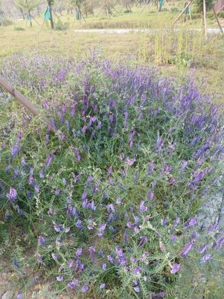 상원(尙沅)님의 자유주제 · 사진전 작성글 사진