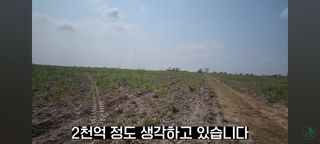 감15576님의 자유주제 · 자유게시판 작성글 사진