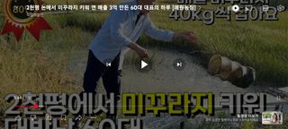 감15576님의 자유주제 · 자유게시판 작성글 사진