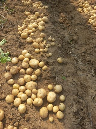 농민님의 작성글 사진