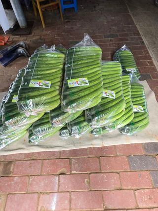 최종진님의 자유주제 · 자유게시판 작성글 사진