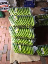 팜모닝 자유주제·자유게시판 게시글 이미지