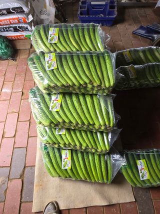 최종진님의 자유주제 · 자유게시판 작성글 사진