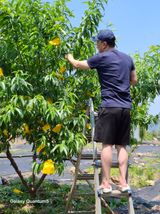 팜모닝 자유주제·자유게시판 게시글 이미지