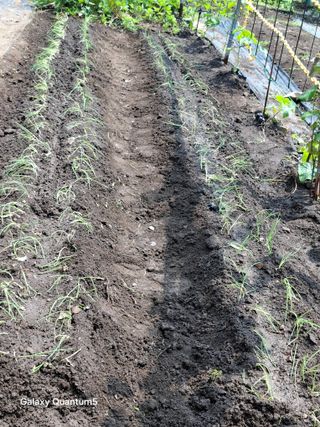 이세순님의 자유주제 · 자유게시판 작성글 사진