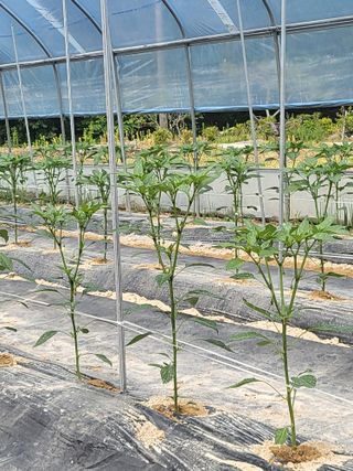 최상희님의 자유주제 · 자유게시판 작성글 사진