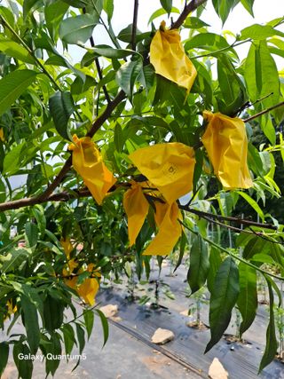 이세순님의 자유주제 · 자유게시판 작성글 사진