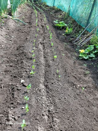 이세순님의 자유주제 · 자유게시판 작성글 사진