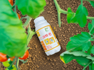 누보농장님의 자유주제 · 자유게시판 작성글 사진