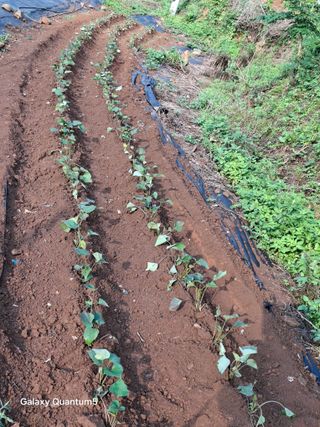 이세순님의 자유주제 · 자유게시판 작성글 사진