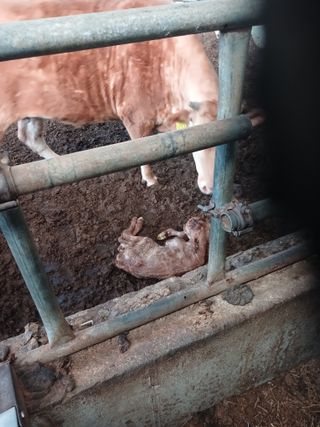 알 수 없음님의 자유주제 · 자유게시판 작성글 사진