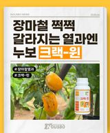 팜모닝 자유주제·자유게시판 게시글 이미지