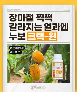 누보농장님의 자유주제 · 자유게시판 작성글 사진