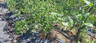 장준재님의 자유주제 · 자유게시판 작성글 사진