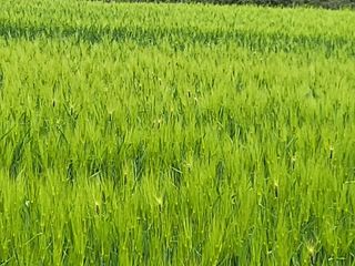 최상희님의 자유주제 · 자유게시판 작성글 사진