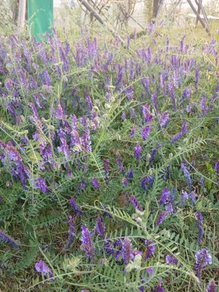 상원(尙沅)님의 자유주제 · 사진전 작성글 사진