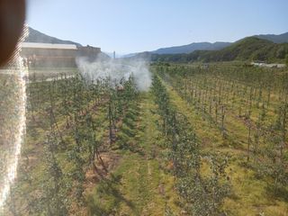 알 수 없음님의 자유주제 · 자유게시판 작성글 사진