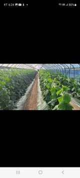 팜모닝 자유주제·자유게시판 게시글 이미지